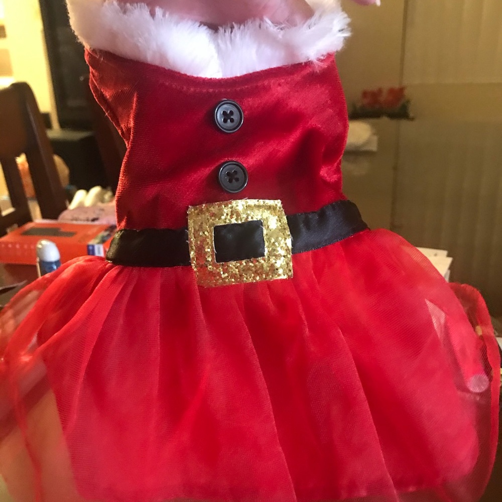 COPY - Dog Clothes. Xmas mrs clause dress by Pup …